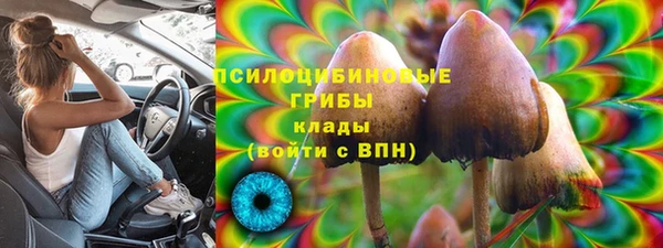 а пвп мука Бородино