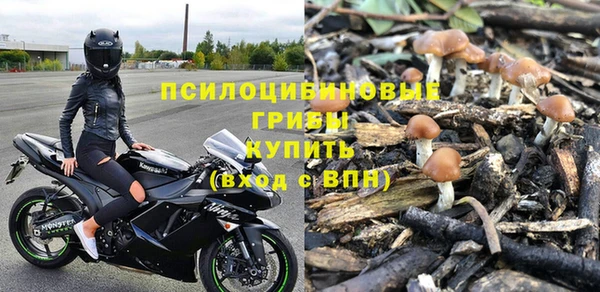 а пвп мука Бородино
