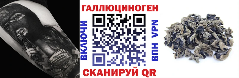 Галлюциногенные грибы GOLDEN TEACHER  Подольск 